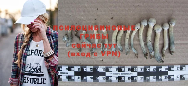тгк Белокуриха