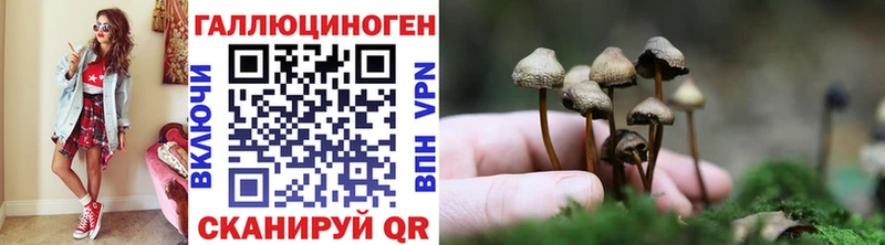как найти закладки  Верхняя Салда  kraken как войти  Галлюциногенные грибы Psilocybine cubensis 